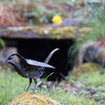 Helen Denerley, Blackbird 1, 2025