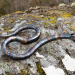 Helen Denerley, Spider, 2023