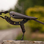 Sparrowhawk Helen Denerley