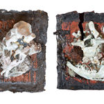 Lotte Glob, The World on Fire i, 2024