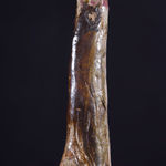 Ade Adesina, Mechanic, 2019