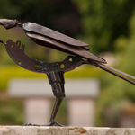 Helen Denerley, Miniature Horse ii