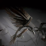 Helen Denerley, Miniature Horse ii