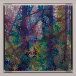 Wendy Sutherland, Wren, 2025