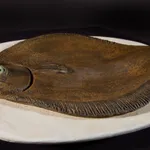 Illona Morrice, Crouching Figure, 2021