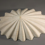 Duke Christie, White Limpet, 2020