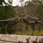 Helen Denerley, Miniature Horse ii