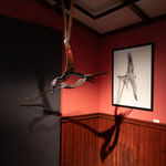 Helen Denerley, Spider, 2023