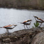 Helen Denerley, Spider, 2023