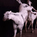 Jeanie Gibbs, Rolling Foal, 2025