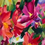 Cosmos and Dahlias | SHONA BARR