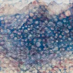 Wendy Sutherland, Wren, 2025