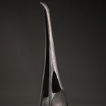 illona Morrice | Cormorant Skull | Kilmorack Gallery