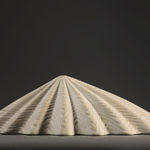 Duke Christie, White Limpet, 2020