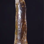 Ade Adesina, Mechanic, 2019