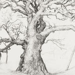 Ian Westacott, Birnam Oak 2, 2023