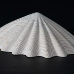 Duke Christie, White Limpet, 2020