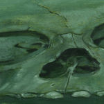 Brook Hsu, Frightened Dog, 2013