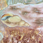 Fuchsia, Why don't you ever reflect?, 2023