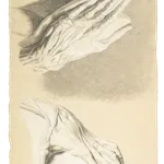 Jacques-Laurent Agasse, a detailed anatomical drawing of hands by Jacques-Laurent Agasse, showcasing intricate muscle and bone structure.