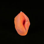 Danyang Song, Diary 3