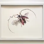 Chase Travaille b. 1994 YehRim's Shard Study No.2, 2025 Images of Yeh Rim Lee's ceramics and yupo paper on strathmore 17 x 21 in