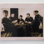 Timothy Webby, Untitled (Lilies), 2025