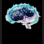 Lauren Baker, Crystal Brain (with diamond dust), 2015