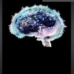 Lauren Baker, Crystal Brain (with diamond dust), 2015