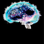 Lauren Baker, Crystal Brain (with diamond dust), 2015