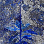 Hamra Abbas, Flower Studies 11, 2023