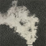 Tang Jie 湯杰, Square Circle, 2014