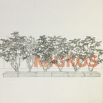 Tang Jie 湯杰, Square Circle, 2014