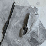 Lin Yan 林延, The Lotus Pond 荷花池, 2012