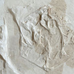 Lin Yan 林延, The Lotus Pond 荷花池, 2012