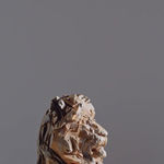 Jürgen Lingl, Angel Gardien