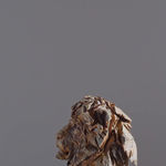 Jürgen Lingl, Angel Gardien