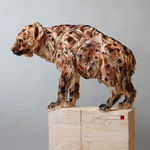 Jürgen Lingl, Angel Gardien