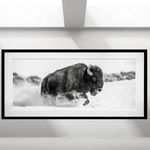 David Yarrow, The Pack