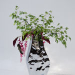 Pepe Valenti, Request full overview of available works by Pepe Valenti