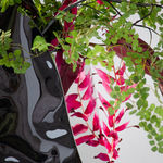 Pepe Valenti, Request full overview of available works by Pepe Valenti