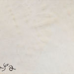 Baya Mahieddine, Femme et poisson, 1974