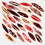 Fakhri El Ghezal, Migration 2, 2024