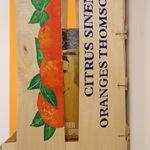 Katayoun Rouhi, Sui Generis, Hamedan, 2024