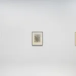 Zarina, Untitled, 2012