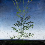 Michael Canning, Never. No, Always, 2014-2020