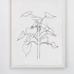 Ellsworth Kelly, Sunflower I, 2004