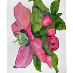 Sarah Graham, Helleborus x hybridus II, 2019