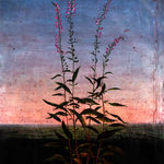 Michael Canning, Never. No, Always, 2014-2020