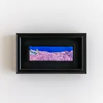 Ishbel Myerscough, Sick boy, 2020